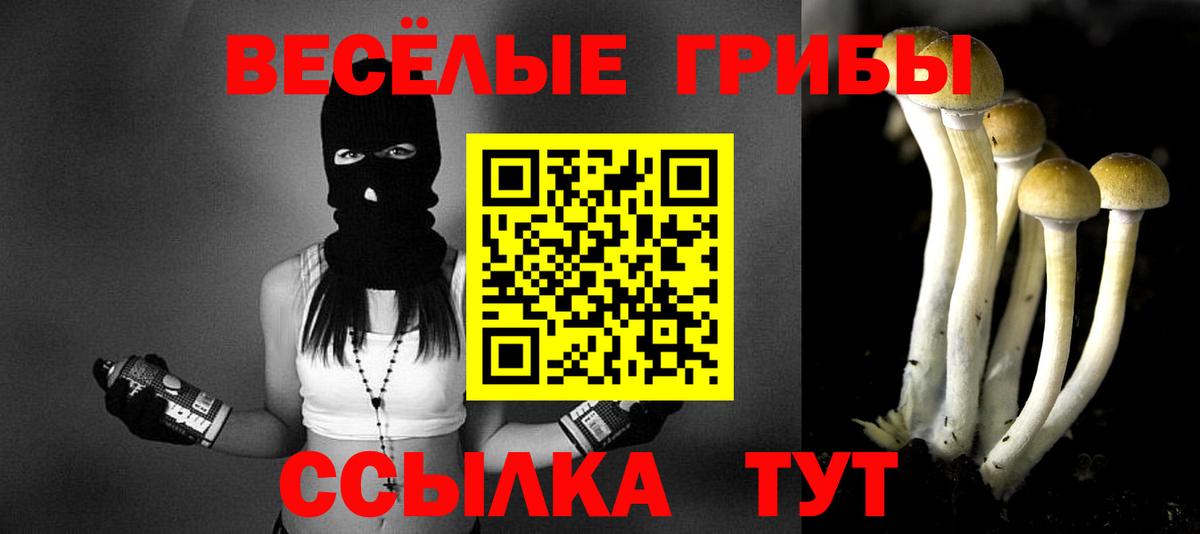 Псилоцибиновые грибы Psilocybine cubensis Корсаков